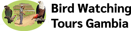 Bird Watching Tours Gambia Logo