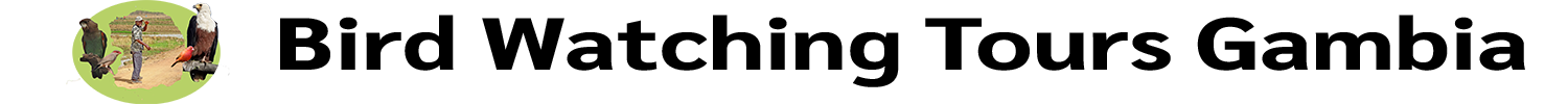 Bird Watching Tours Gambia Logo